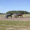 img_3151