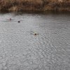img_6508